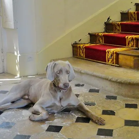 בית נופש Chateau Du Saulsoy Chamigny